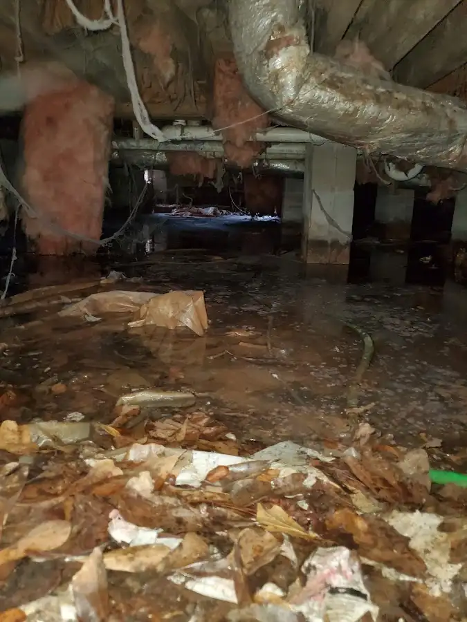 Crawl space flood assessment for Leak Detection & Repair in Cedar Park