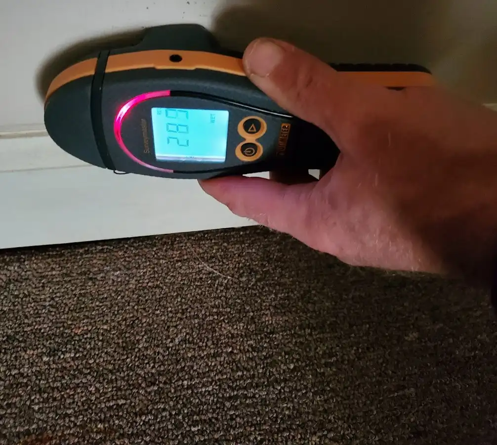 Moisture detection at baseboard during Mold Inspection & Testing in Cedar Park