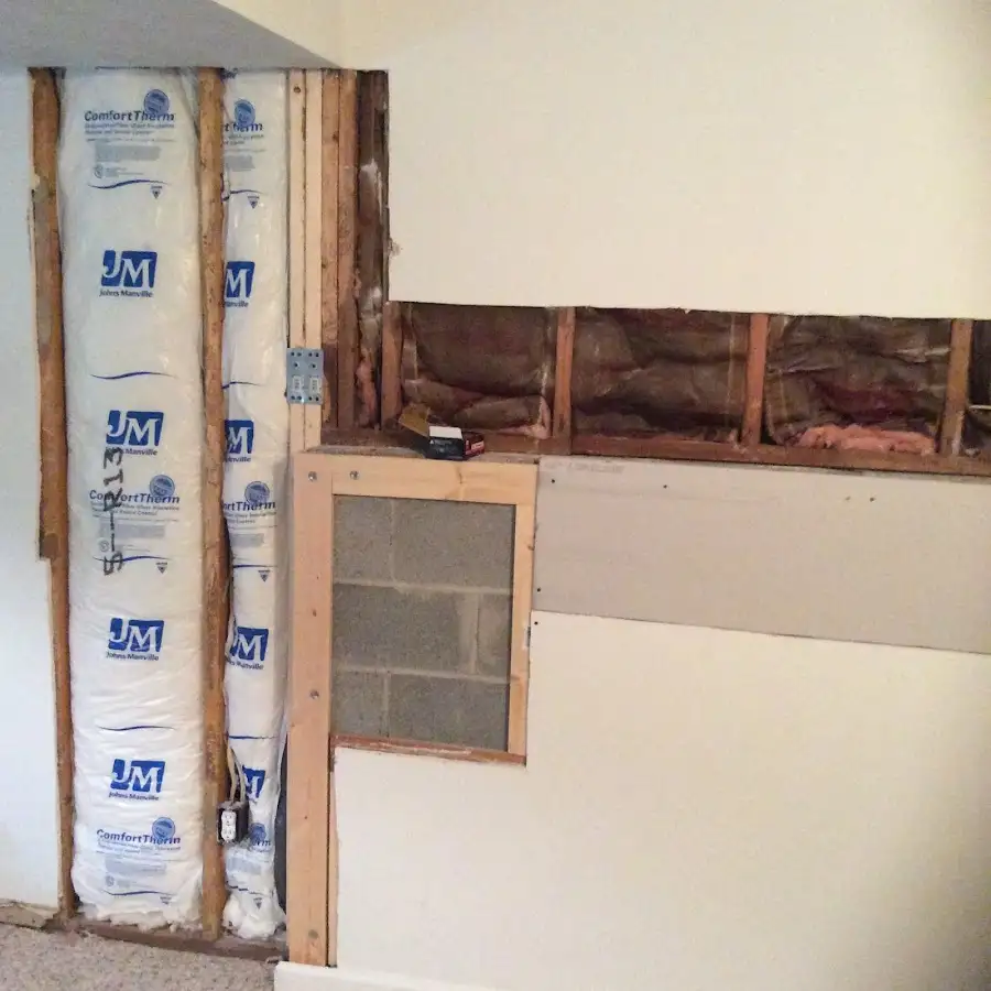 Wall insulation replacement during Odor Removal & Deodorization in Cedar Park